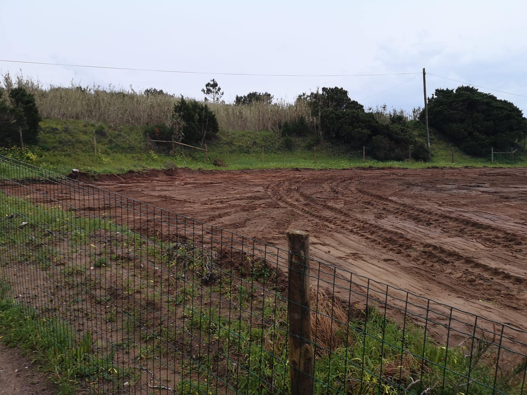 Obras